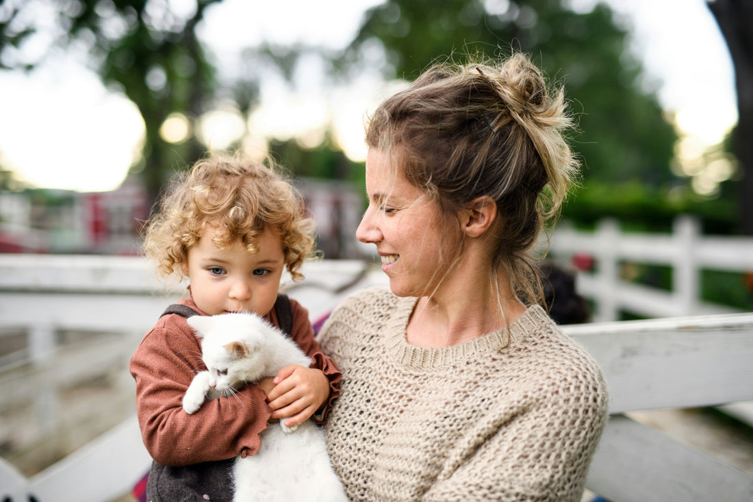 The Revolution of Litter Cleanup: The Golden Trio Routine for Paw-Mess-Free Litter