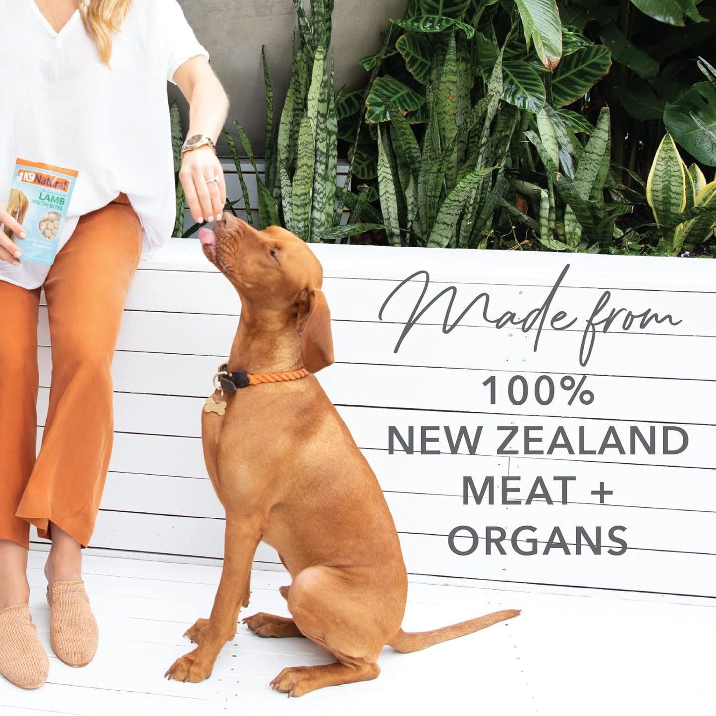 K9 Natural, Freeze-Dried Single Ingredient Dog Treats, High-Value, Low-Calorie Protein Bites for Active Dogs, Healthy Dog Training Treats, Grain-Free Reward, Lamb Lung, 1.76oz (Pack of 2)