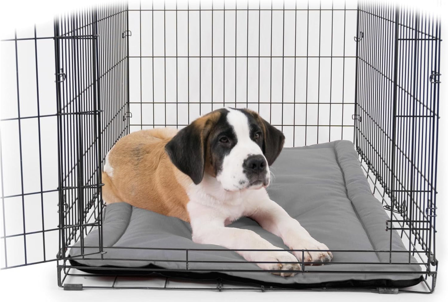 K9 Ballistics Tough Ripstop Dog Crate Pad - Durable & Machine Washable with Non-Skid Bottom and 120-Day Warranty, Fits 42" Wire Crates - Large, Light Gray Velvet